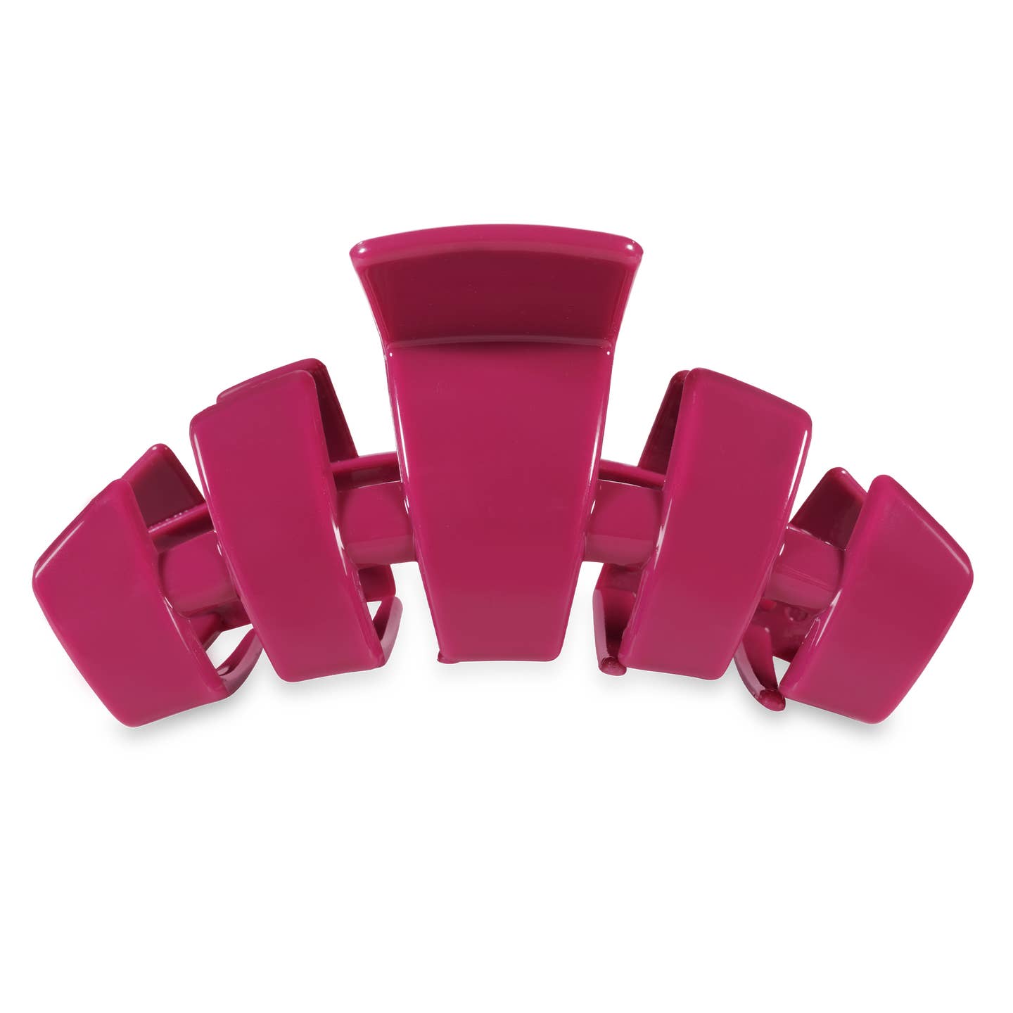 Classic Wild Side Hair Clip