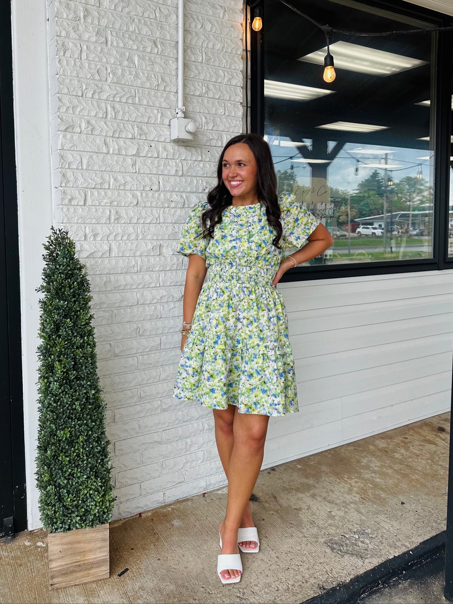 The Aylin Eyelet Smocked Dress