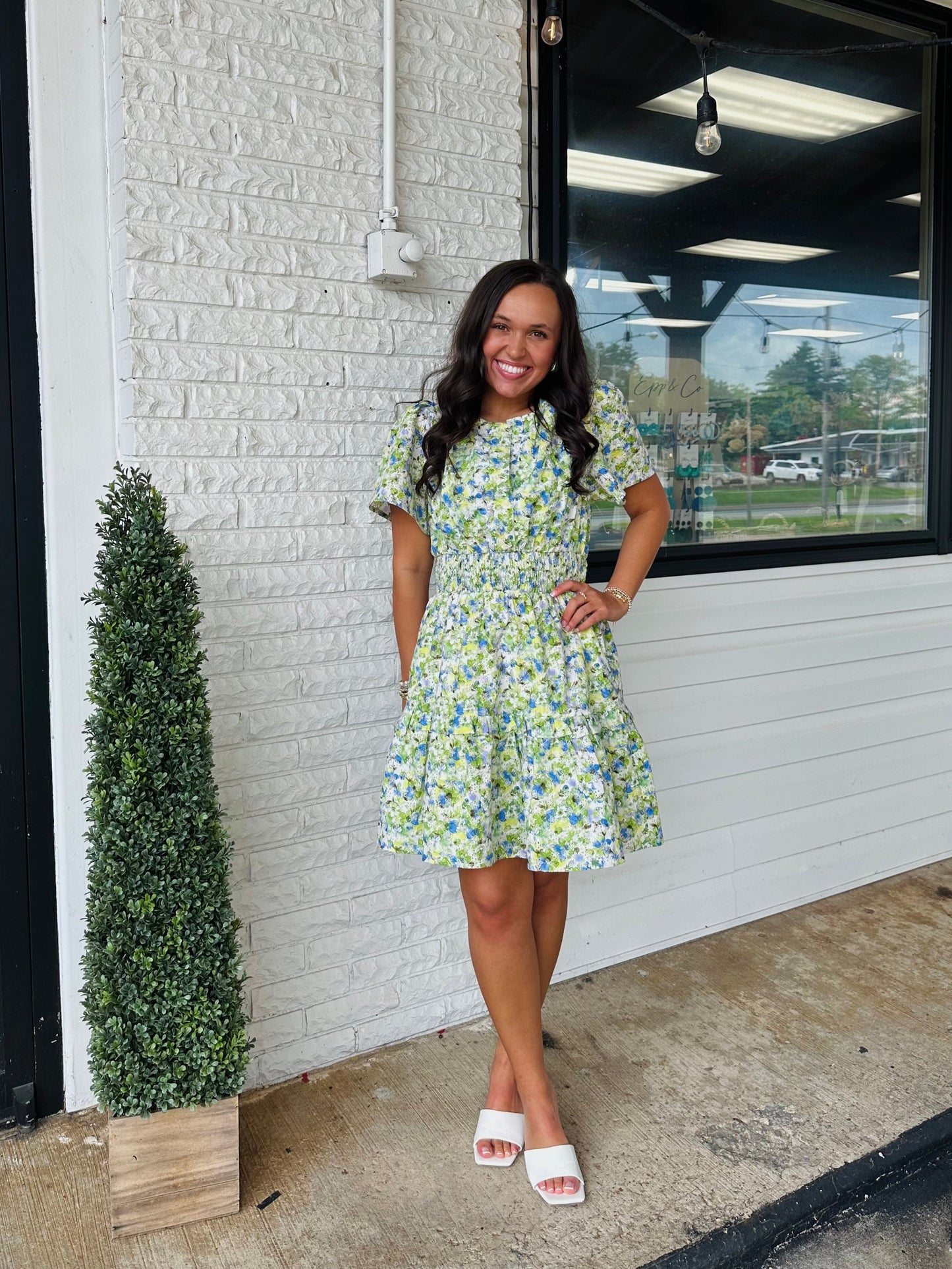 The Aylin Eyelet Smocked Dress