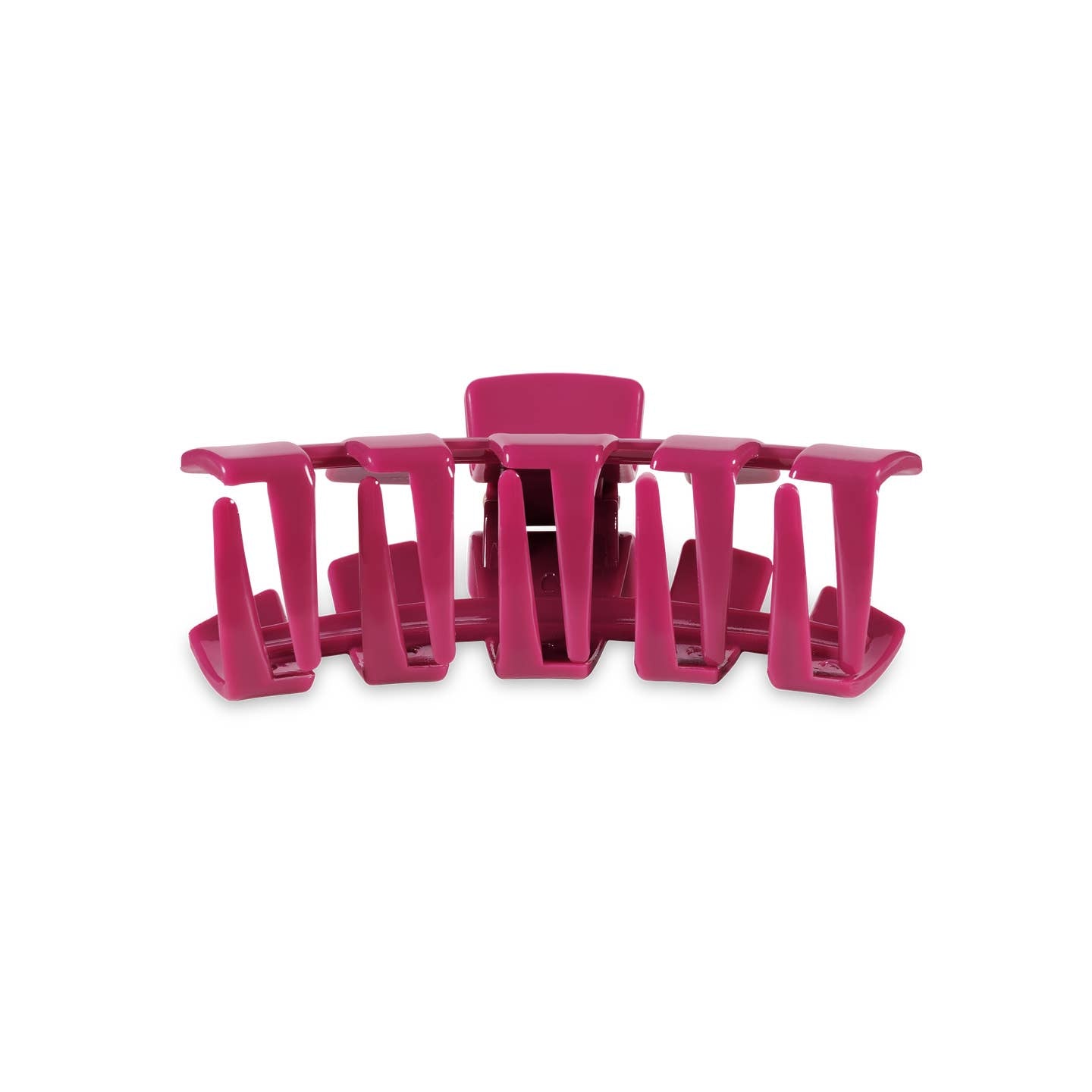 Classic Wild Side Hair Clip