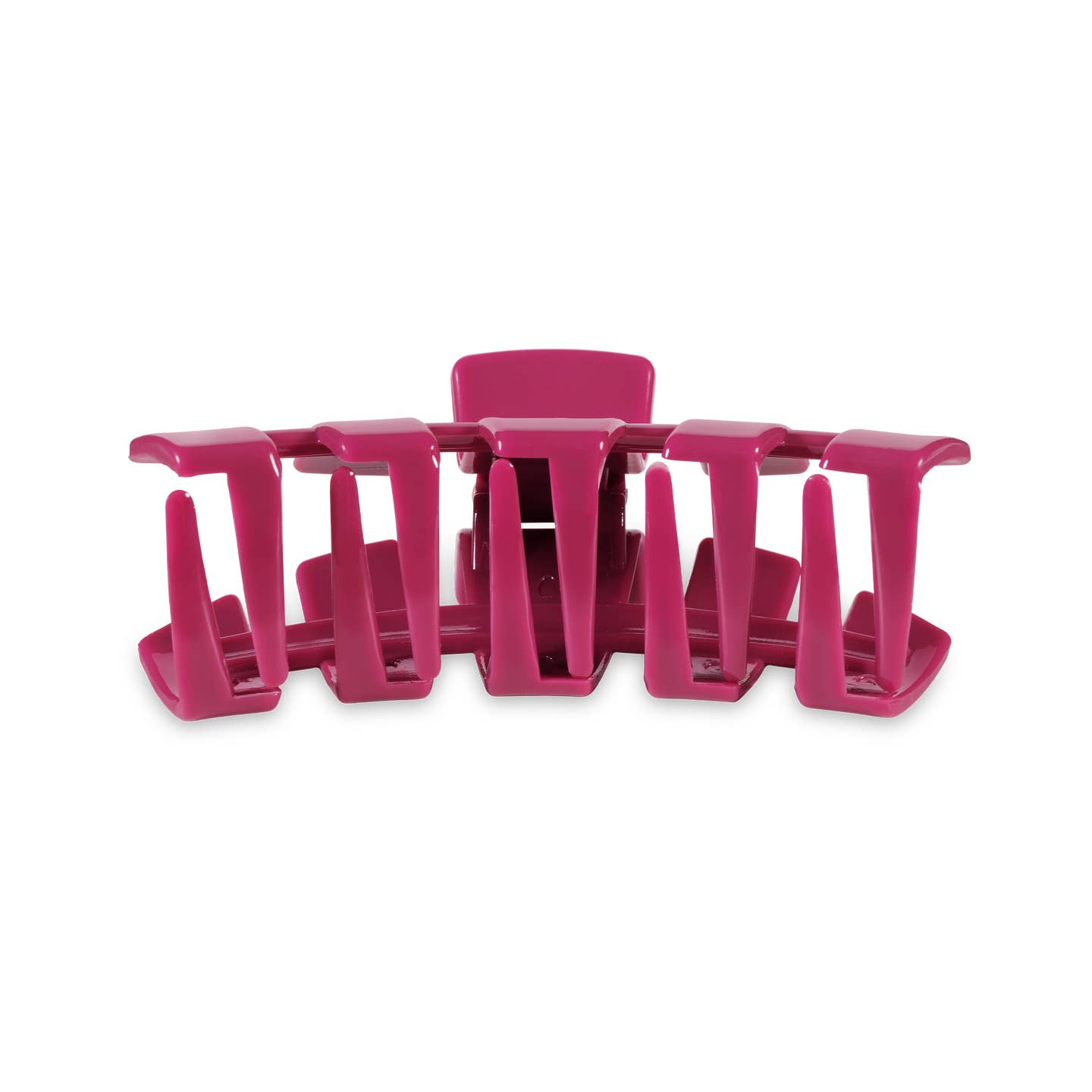 Classic Wild Side Hair Clip