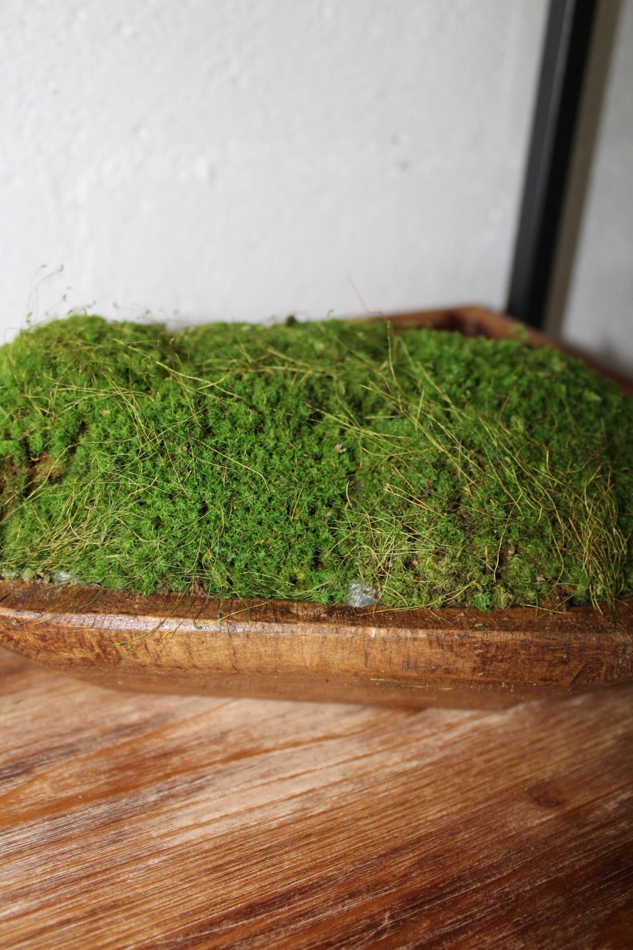 Moss Dough Bowl