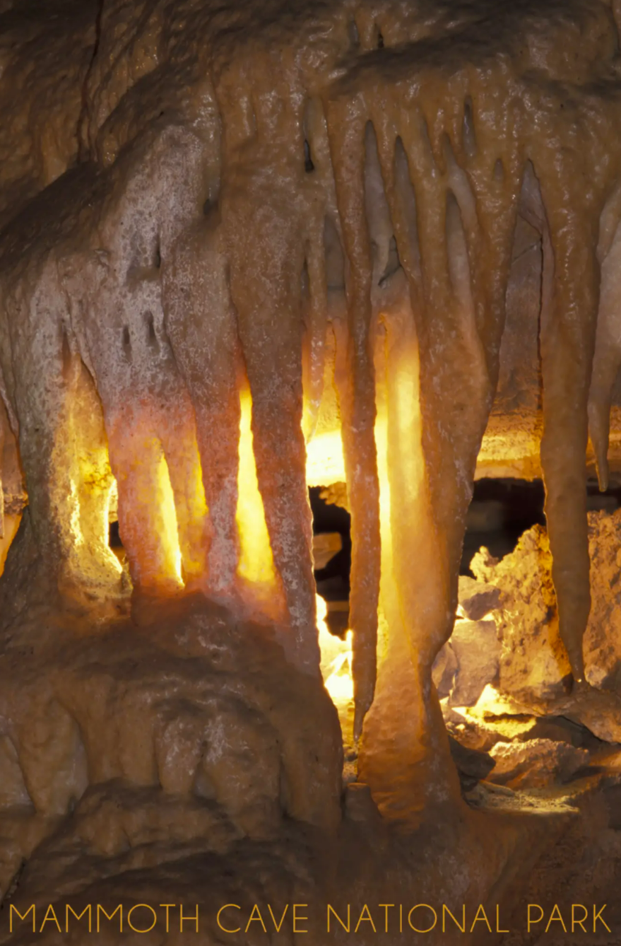 1000 Piece Mammoth Cave Drapery Room Puzzle