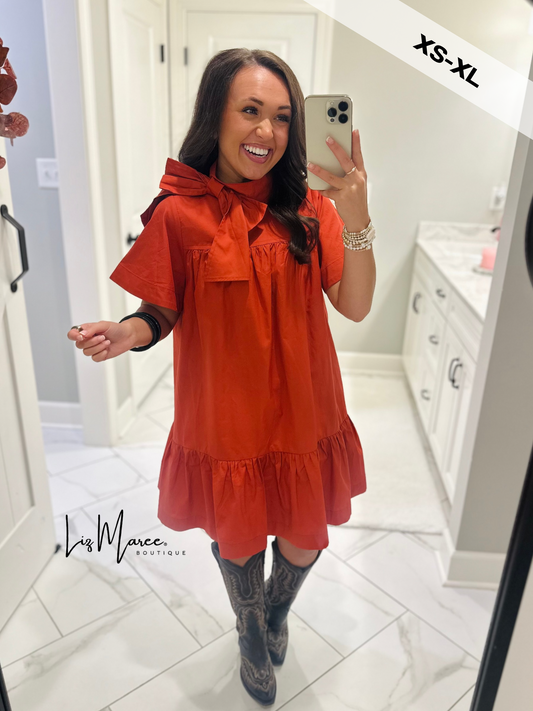 The Melody Brick Poplin Bow Dress