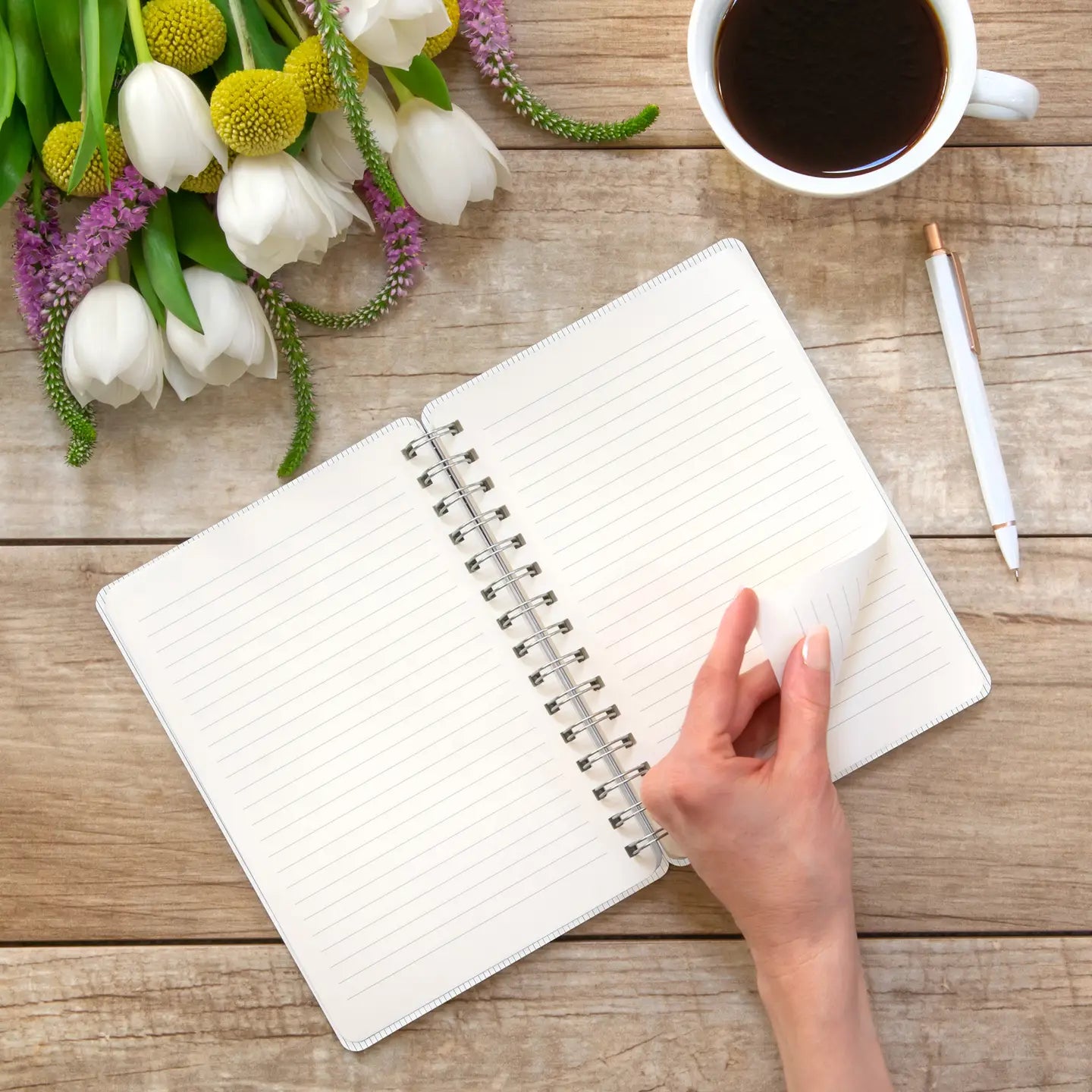 Organized Chaos Notebook