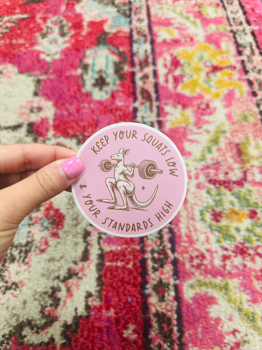Keep Your Squats Low and Your Standards High Sticker