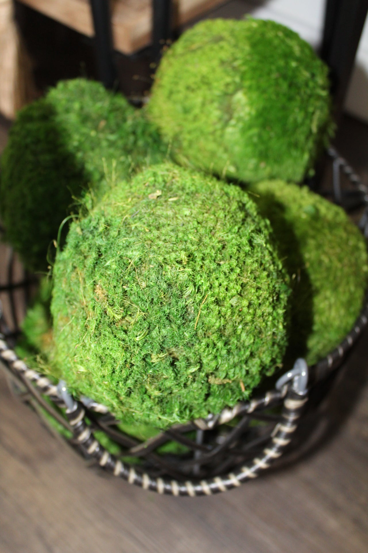 4'' Small Moss Ball